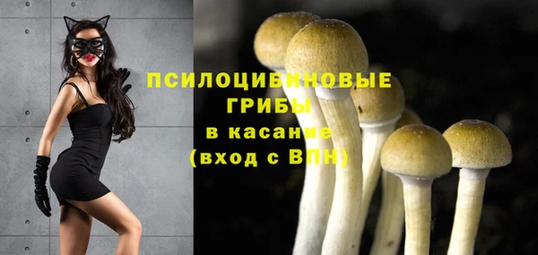 амфетамин Алексеевка