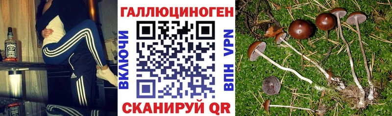 Галлюциногенные грибы ЛСД  Баймак 