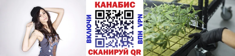 где купить   Баймак  Каннабис ГИДРОПОН 